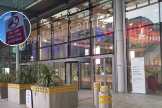 Brent Council Bird Feeding Signs Threaten 5-Year Jail 2026