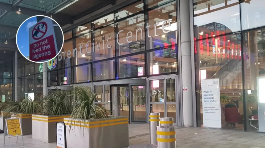 Brent Council Bird Feeding Signs Threaten 5-Year Jail 2026