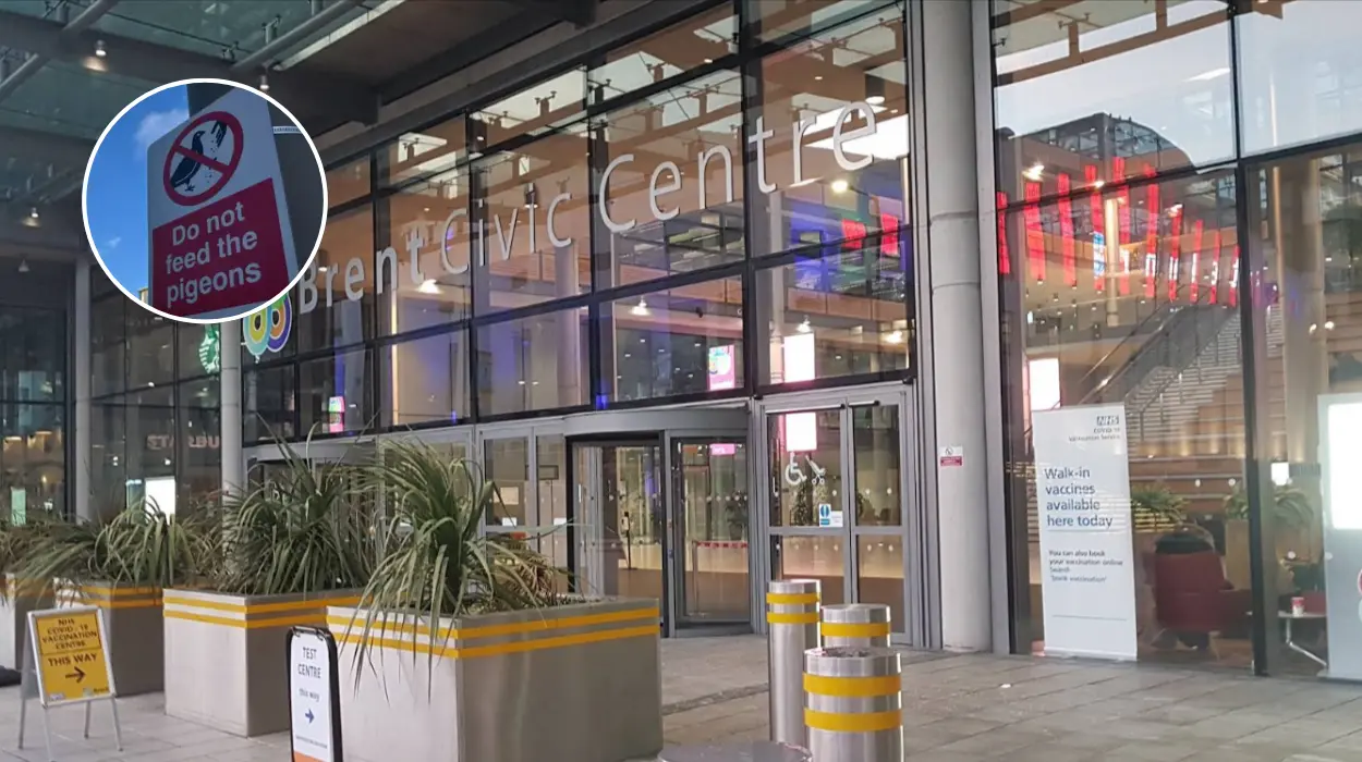 Brent Council Bird Feeding Signs Threaten 5-Year Jail 2026