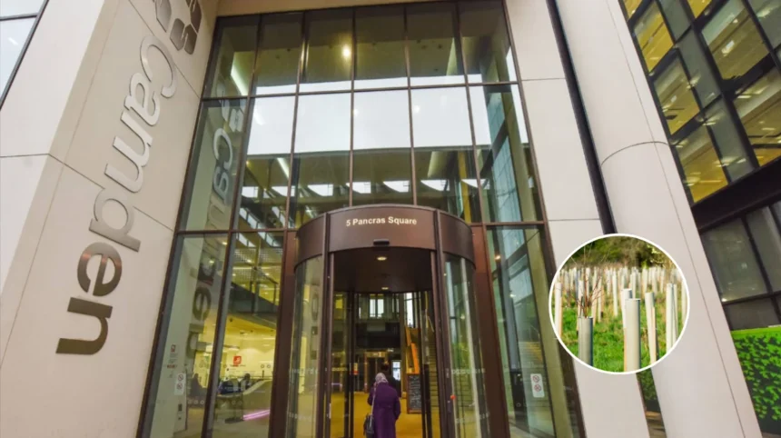 Camden Council Budget: £4m Trees, Jet Washing, £500 Aid 2026