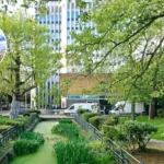 Enfield Council 10-Year Plan: 3,000 Homes by 2036 2026