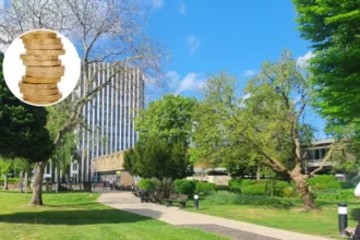 Enfield Labour Passes No-Cuts Budget with £56M Boost 2026