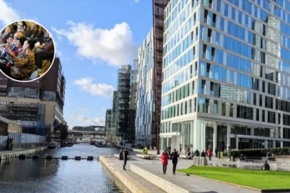 Haringey Full Potential: Celebrating Care Youth at Jacksons Lane 2026