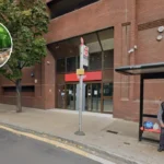 Healthy Ancient Oak Felled by Haringey in Epping Forest 2026