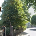Man Charged over Pensioner Stabbed 20 Times in Camden Home 2026