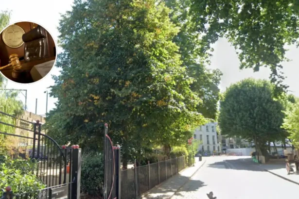 Man Charged over Pensioner Stabbed 20 Times in Camden Home 2026