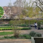 OmVed Gardens Highgate Free Open Day 2026 