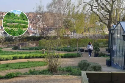 OmVed Gardens Highgate Free Open Day 2026 