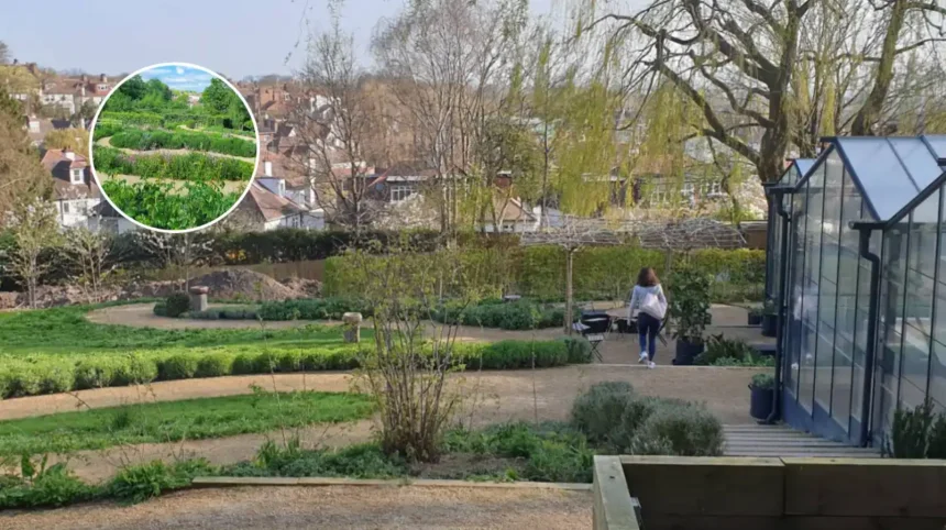 OmVed Gardens Highgate Free Open Day 2026 