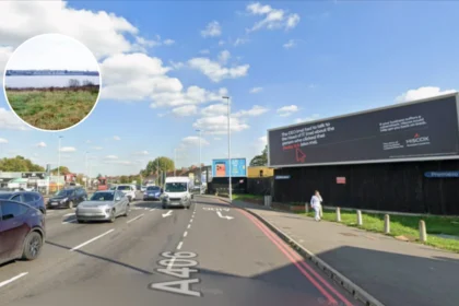 Woman Dies After Entering Brent Reservoir at Welsh Harp 2026