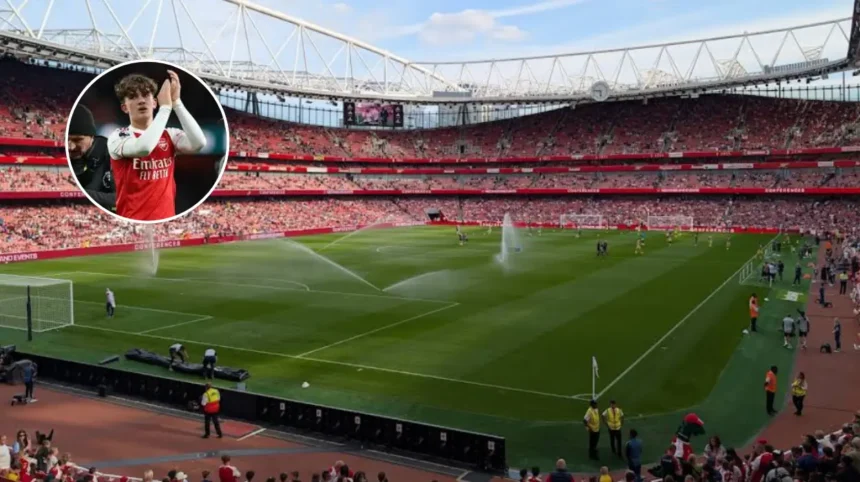 Ferdinand Names Dowman Arsenal's Key PL Player (North London, 2026)