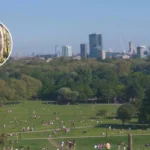 Finbar Sullivan Stabbed Dead Primrose Hill Fight 2026