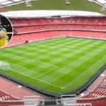 Gyokeres Sends Sweden to World Cup via Poland Win 2026