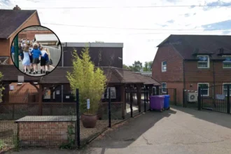 Haringey 96% Top Primary School Offers 2026