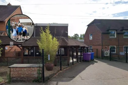 Haringey 96% Top Primary School Offers 2026