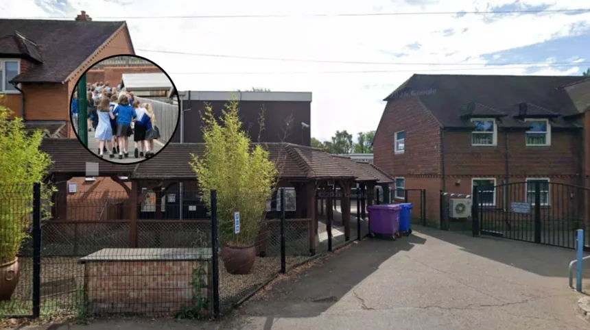 Haringey 96% Top Primary School Offers 2026