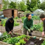 How to join a Barnet community garden project 2026