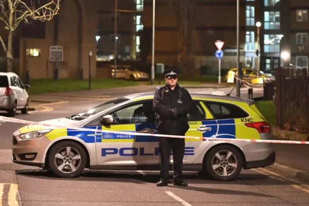 Leyton Stabbing Leaves One Dead, Four Arrested