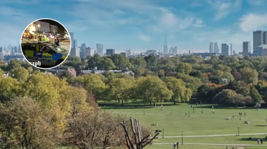 Man, 21, stabbed to death at Primrose Hill, north London 2026