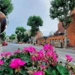 Michael Rosen Wins Hans Christian Andersen Award, Muswell Hill 2026