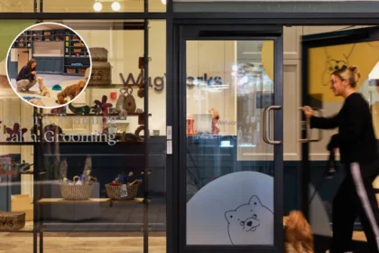 Sip & Paint with Pooch at WagWorks Islington, 2026