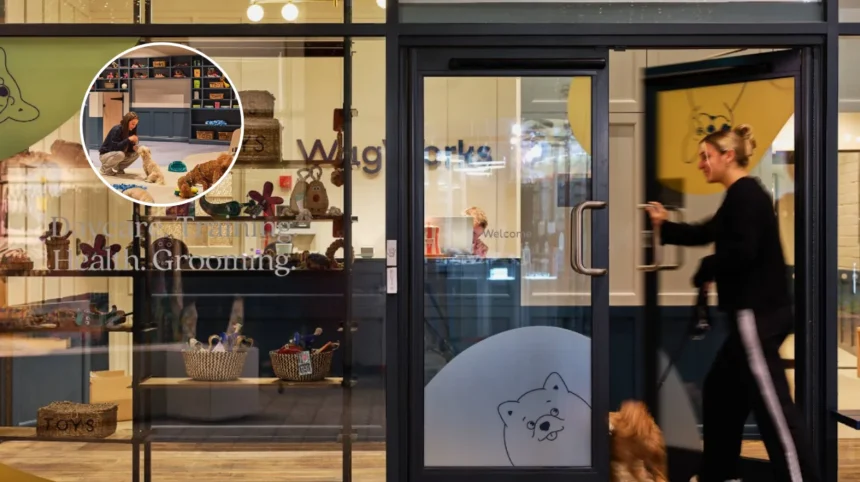 Sip & Paint with Pooch at WagWorks Islington, 2026