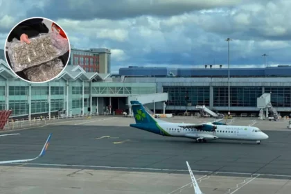 Six Men Arrested After £13.8m Cannabis Seizure at Birmingham Airport (North London, 2026)