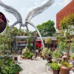 Soul Mama Expands to Angel Central Islington 2026