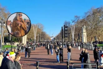 Suggs Sings at Vigil for Stabbed Student on Primrose Hill, 2026