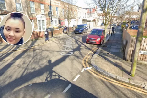 Tanesha Melbourne-Blake: Innocent Teen Shot in Tottenham 2018