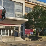 Haringey 2026 Election: Peray Ahmet Loses to Greens in Noel Park