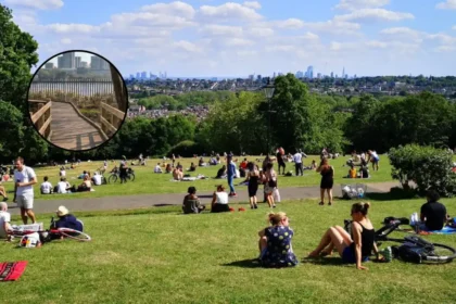 New Wetland Boardwalk for Alexandra Park, North London 2026
