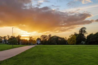 The Ultimate Guide to the Best Parks and Outdoor Spaces in Brent