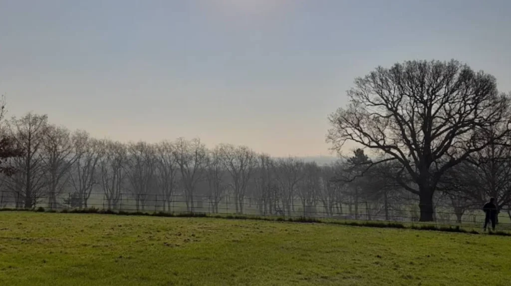 What Are the Most Significant Public Parks in Brent?