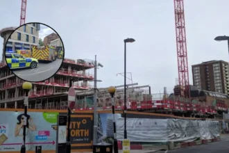 Woman dies in lorry crash near Finsbury Park 2026