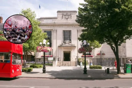 Arsenal Victory Parade Sparks Mass Crowd Chaos and Violence in Islington 2026