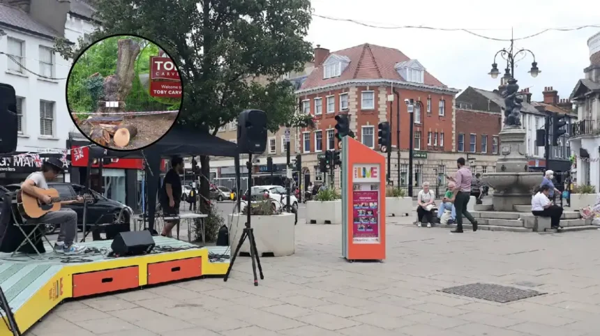 Enfield Council Settles Mitchells & Butlers Toby Carvery Tree Dispute: Enfield 2026