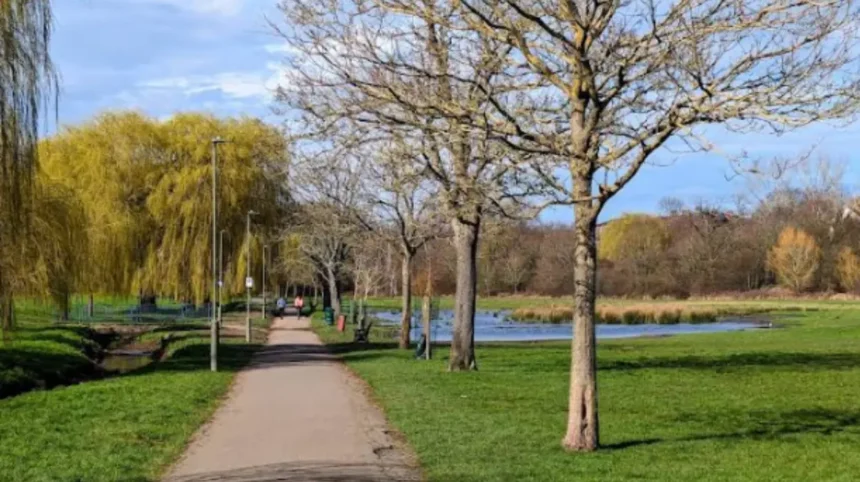 Family Guide to Barnet: Top Activities, Parks, and Museums in North London
