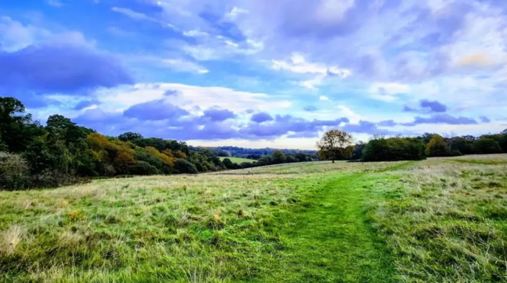 How accessible are Barnet's areas for visitors with mobility needs?
