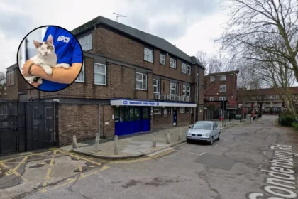 RSPCA Finsbury Park Animal Hospital Sale for Housing – North London 2026