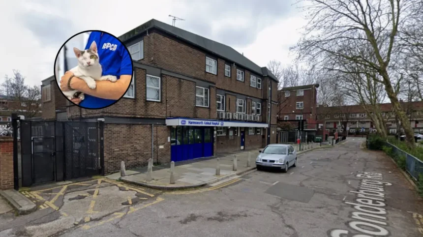 RSPCA Finsbury Park Animal Hospital Sale for Housing – North London 2026