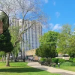 Toby Carvery Settles Ancient Oak Dispute: Enfield 2026