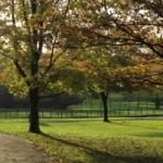 What Are the Best Free Things to Do in Barnet? Tourist Guide