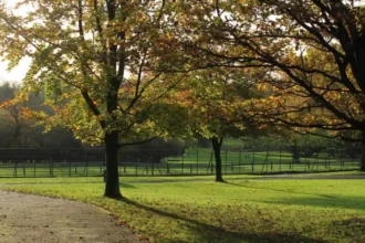What Are the Best Free Things to Do in Barnet? Tourist Guide