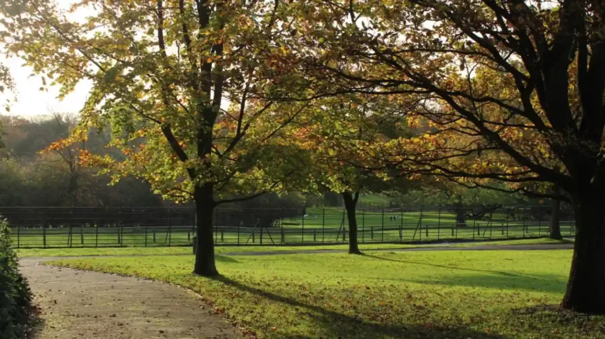 What Are the Best Free Things to Do in Barnet? Tourist Guide