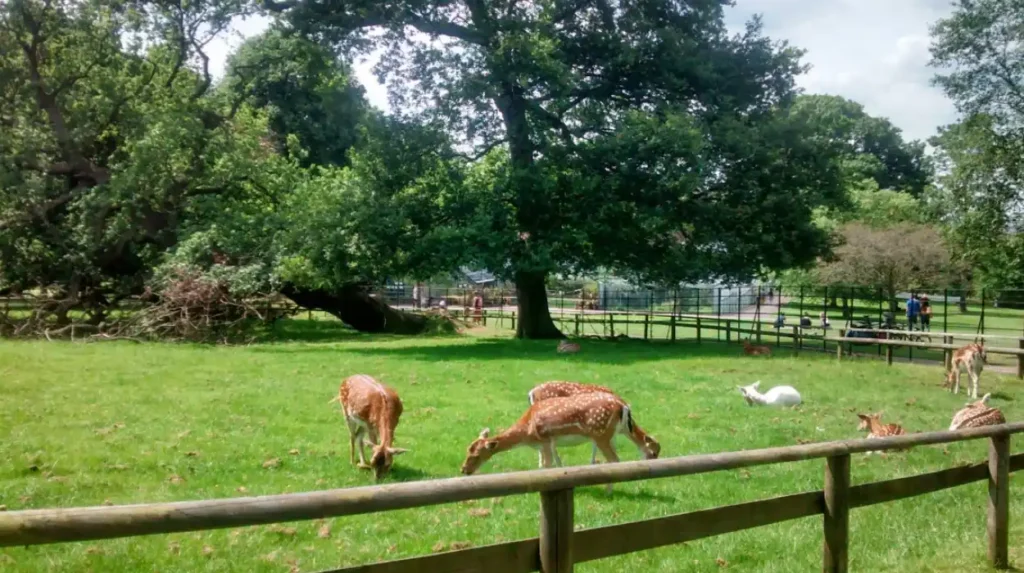 What Free Attractions Does Barnet Offer Tourists and Visitors?