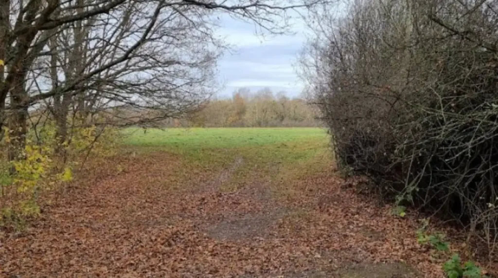 Which Barnet Parks Provide the Best Facilities for Outdoor Fitness and Sports?