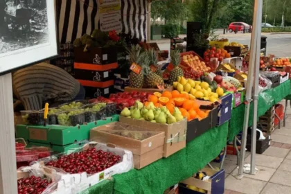 Which Food Markets and Shopping Areas Should You Visit in Barnet?
