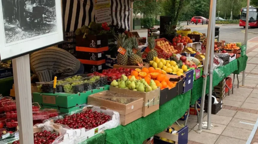 Which Food Markets and Shopping Areas Should You Visit in Barnet?