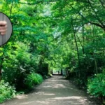 16-Year-Old Arrested on Suspicion of Rape on Parkland Walk, Haringey 2026